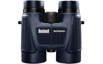 Best Mid-Price Range Binoculars