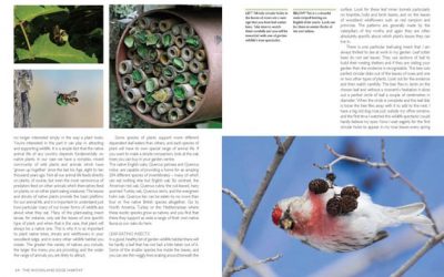 RHS Companion to Wildlife Gardening