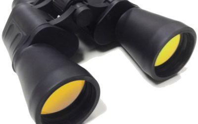 Best Budget Binoculars