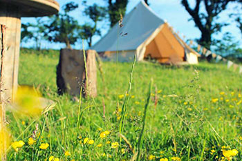 Eco-Living – Eco Friendly Camping