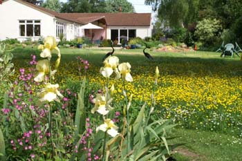 Wildlife Gardening in August